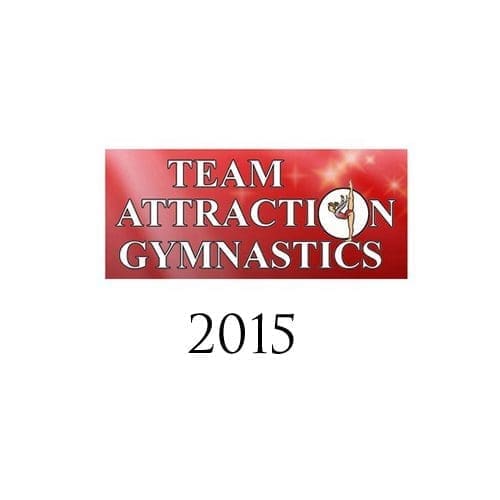 Gym Designs for Team Attraction Gymnastics