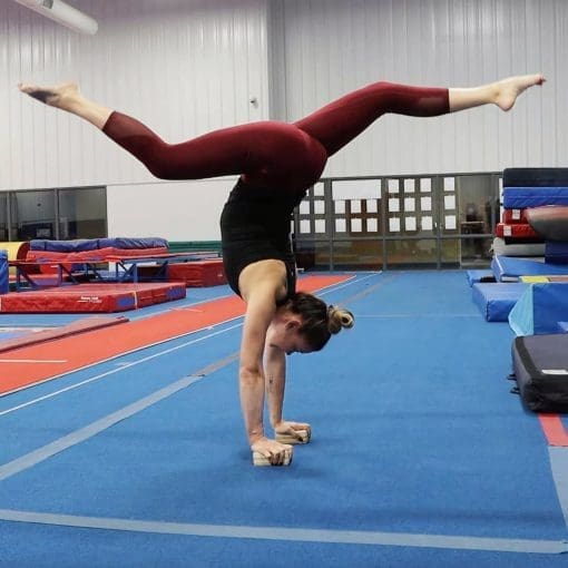 3-in-1 Adjustable Handstand Canes Example 2